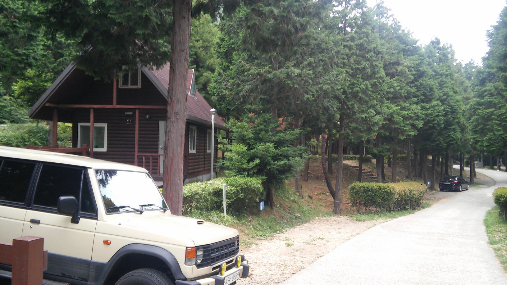 남해 편백 휴양림