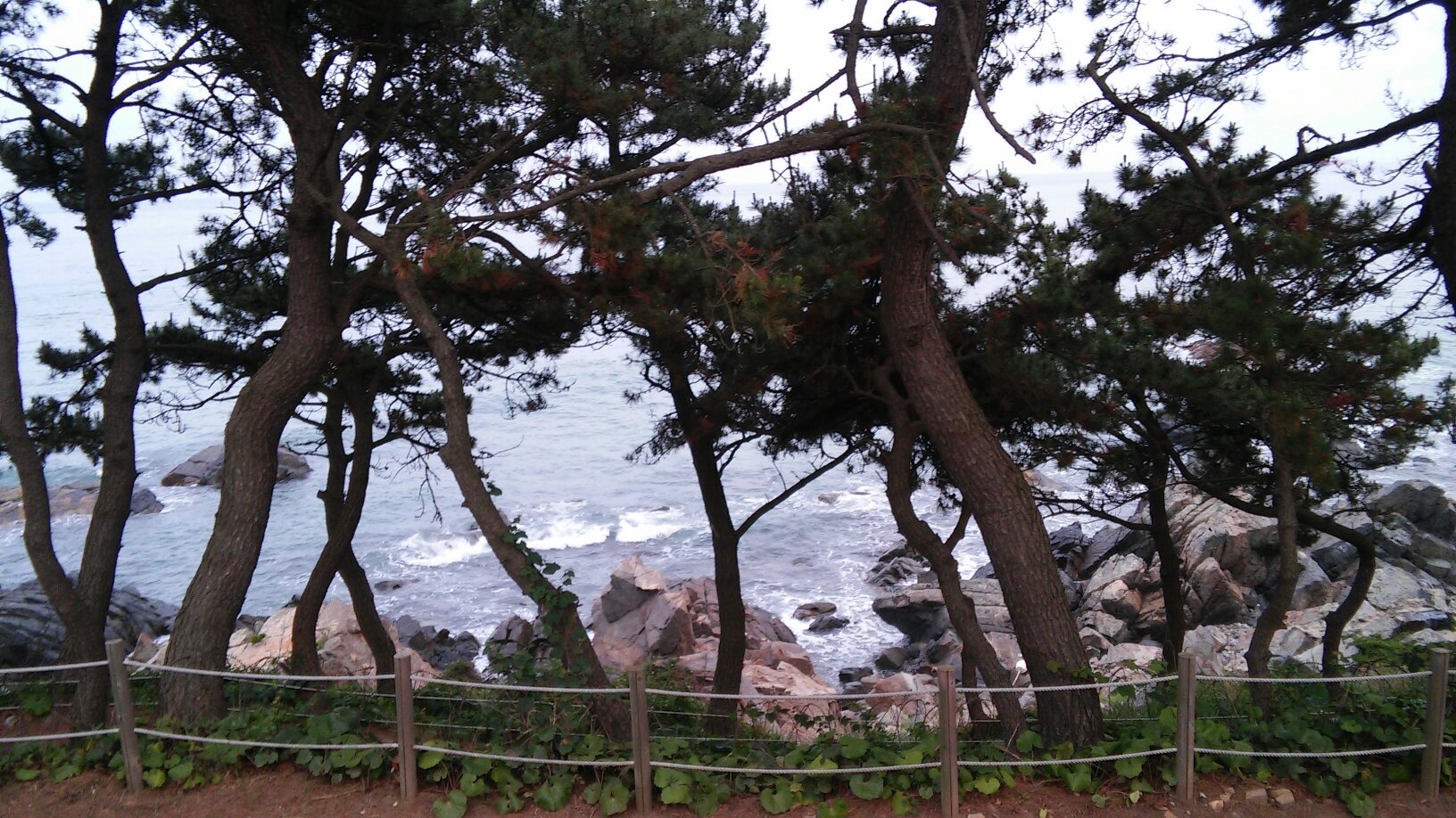 대왕암 오토캠핑장